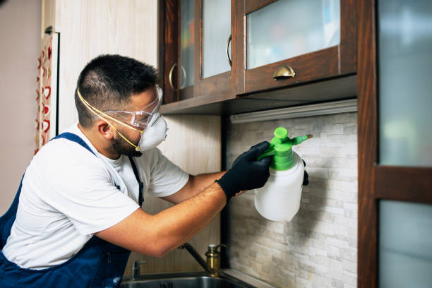 Best Exterminator Services  in Cadott, WI
