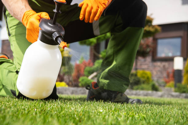 Best Bird Control  in Cadott, WI