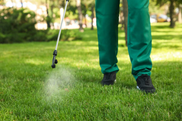 Best Mosquito Control Services  in Cadott, WI