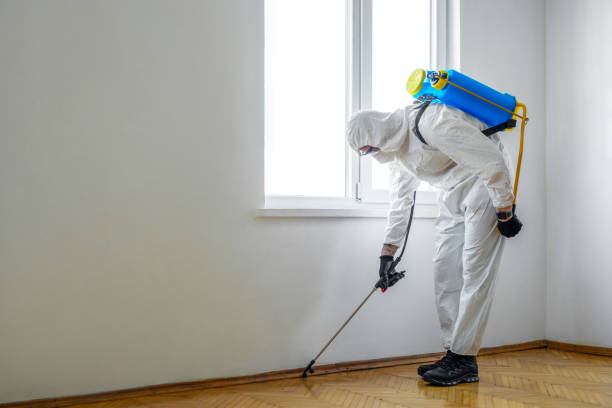 Pest Control for Restaurants in Cadott, WI