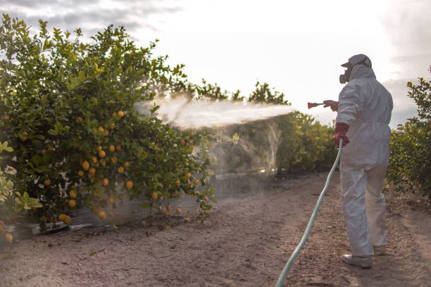Best Best Pest Control Companies  in Cadott, WI
