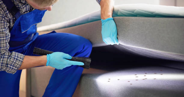 Best Commercial Pest Control Services  in Cadott, WI